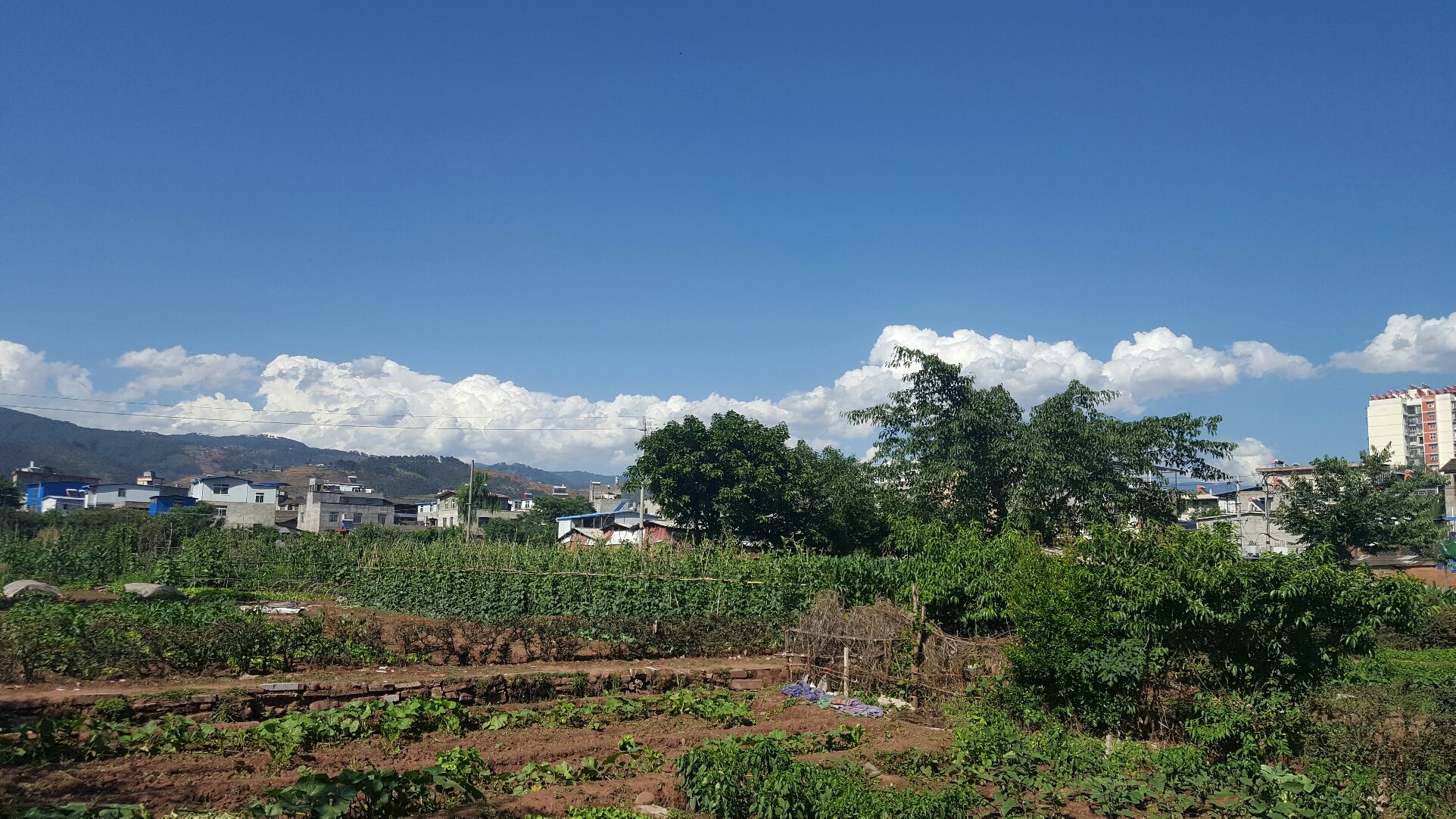 西昌村委会天气预报更新通知