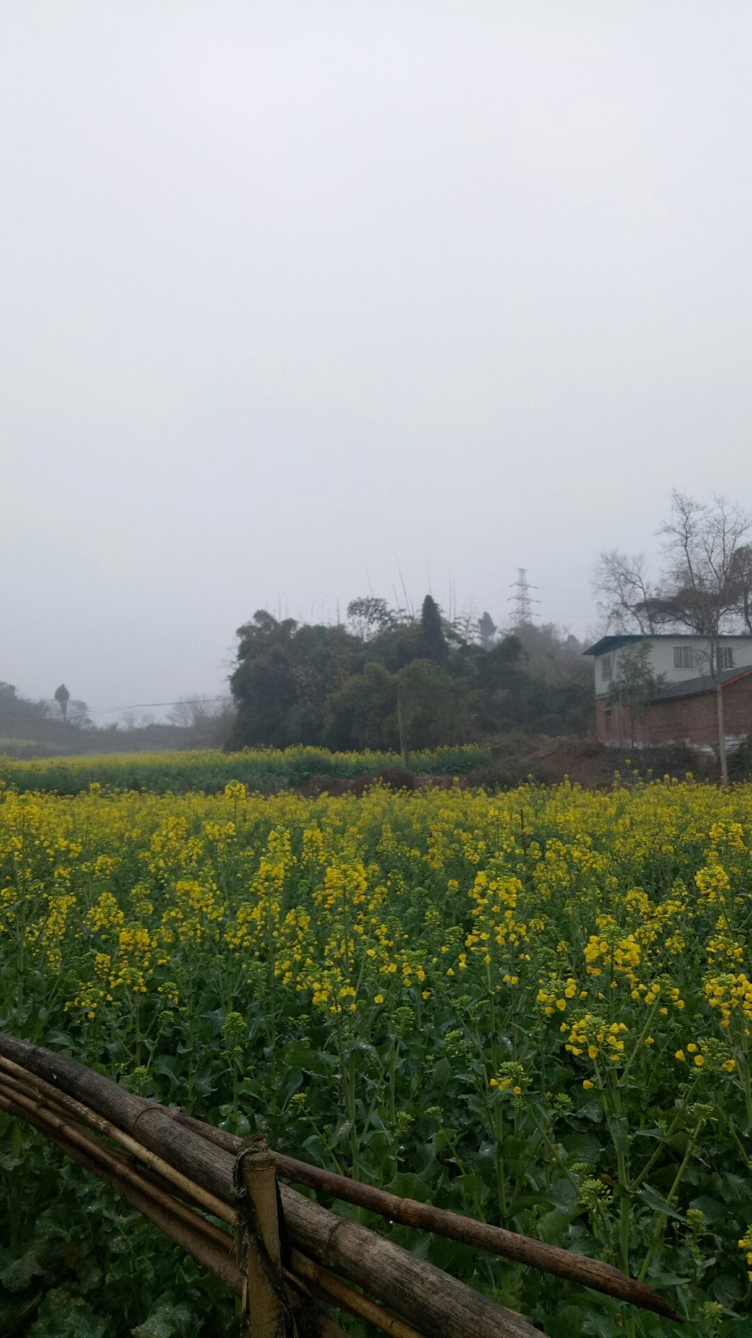 滩头镇最新天气预报