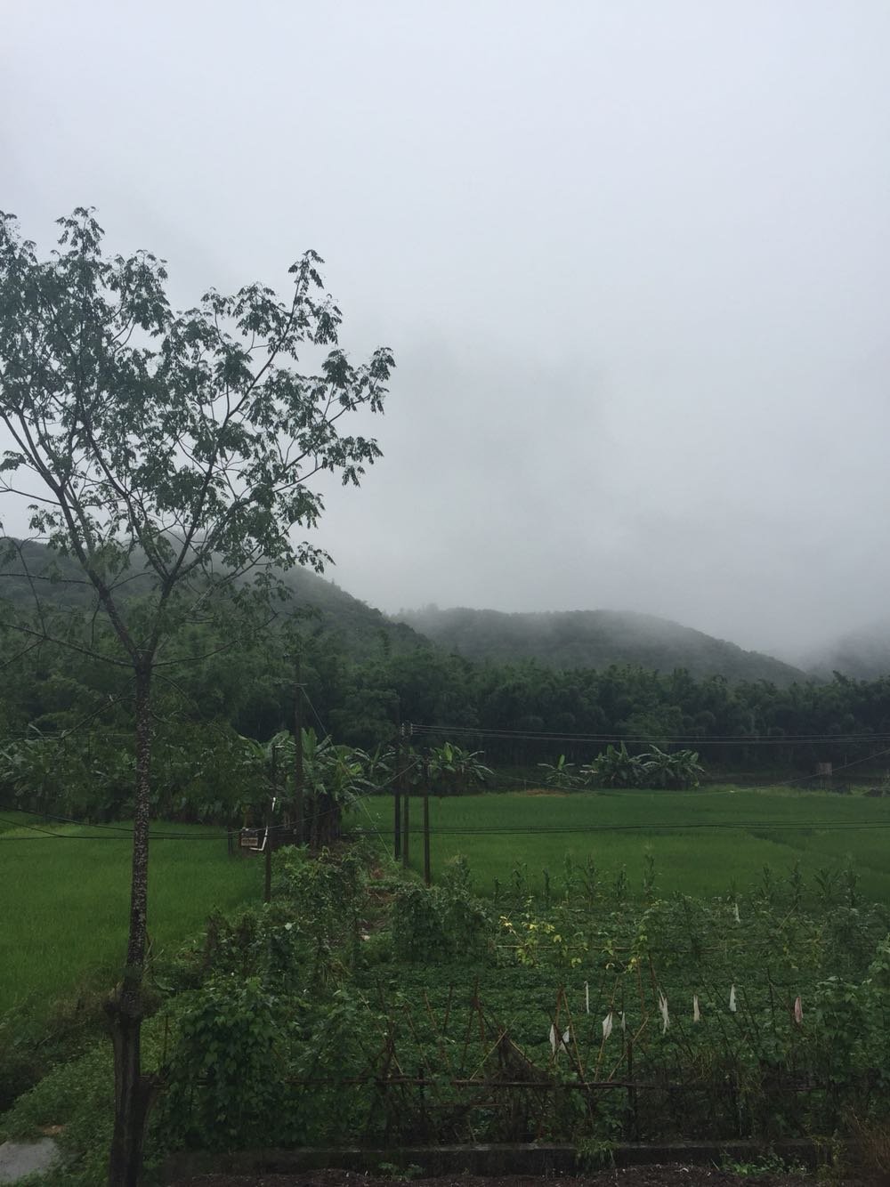 甲根村未来一周天气预报及生活建议