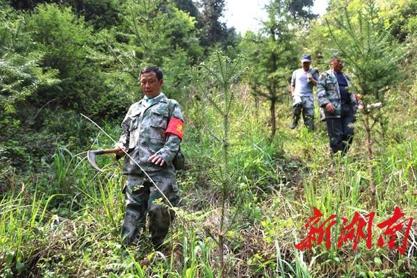 连山区小学招聘启事，最新教育职位空缺概览