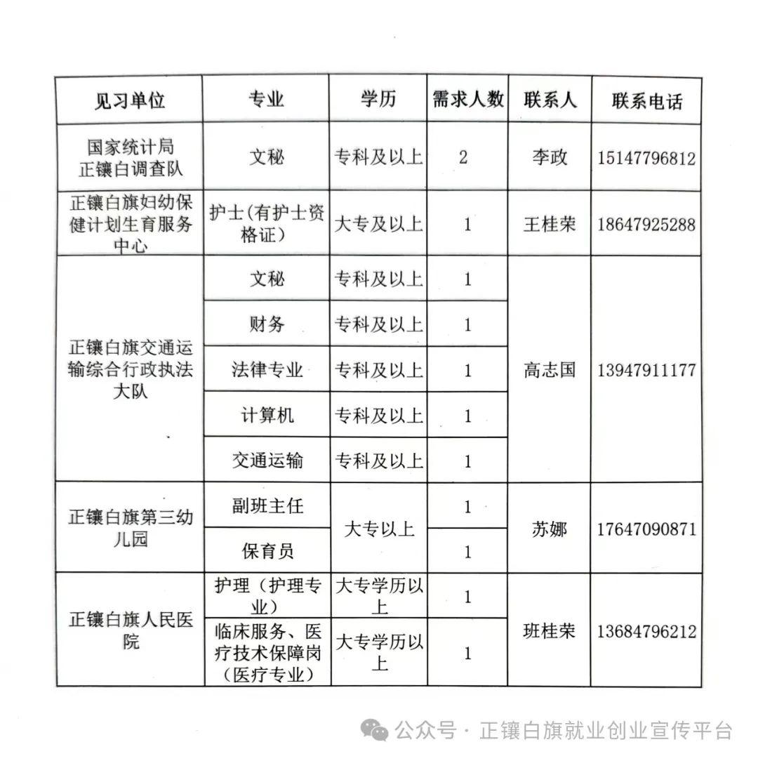 乌拉特前旗统计局最新招聘信息详解