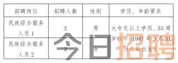 乐昌市统计局最新招聘信息概览