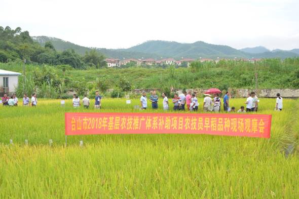 华阴市农业农村局最新项目，推动农业现代化，助力乡村振兴