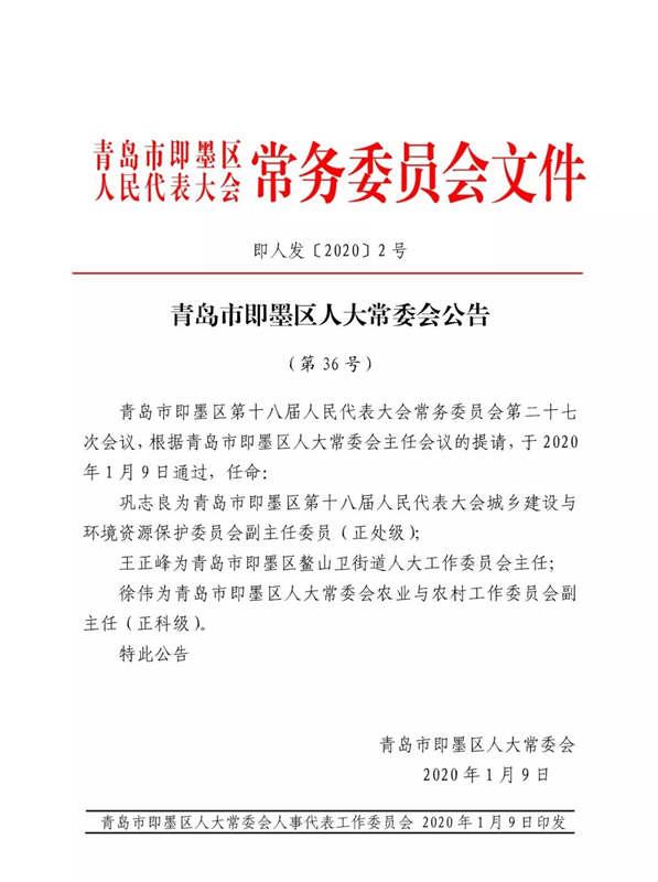 苍山县文化局人事任命揭晓，引领未来文化发展新篇章