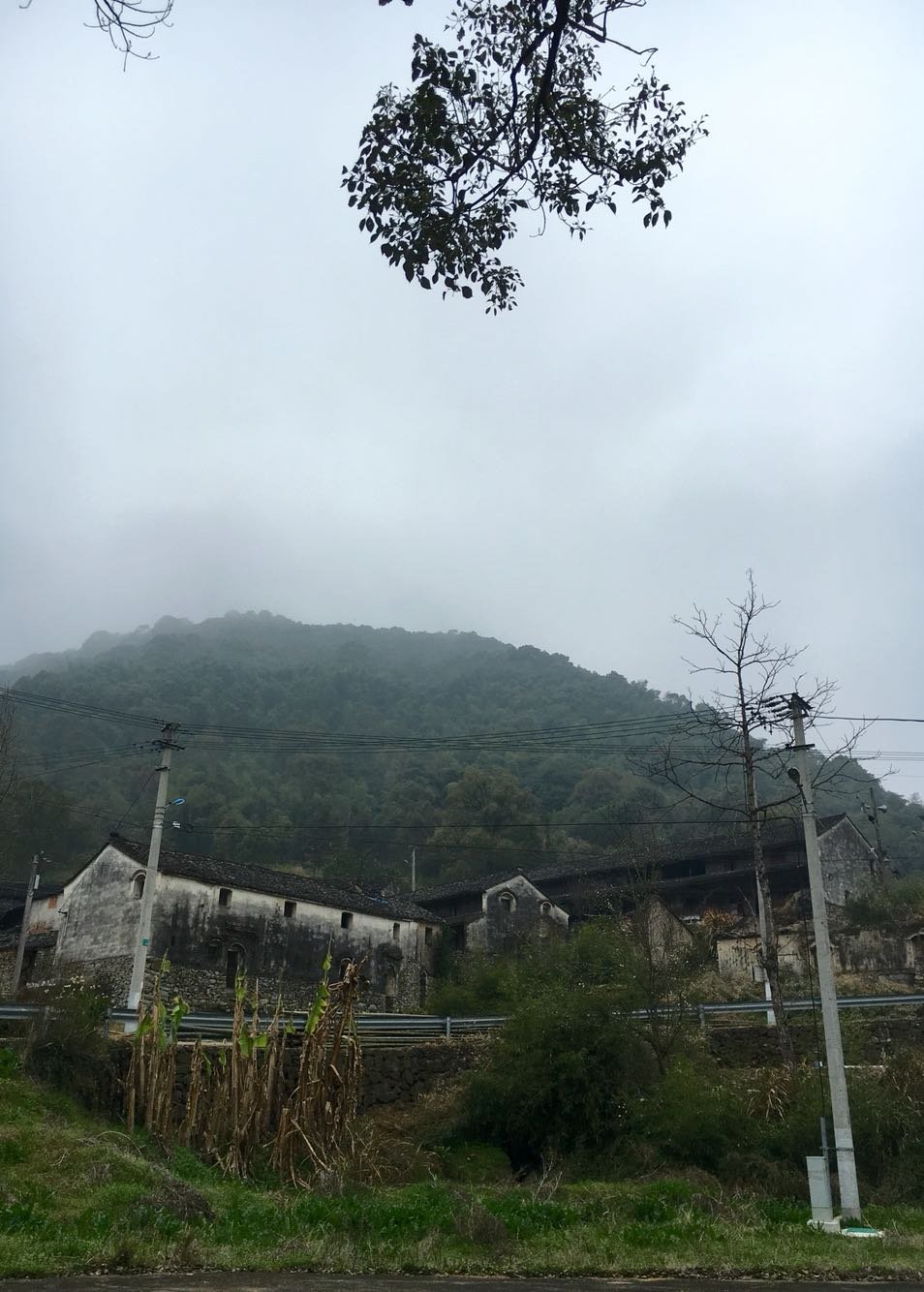 赤岸镇天气预报更新通知