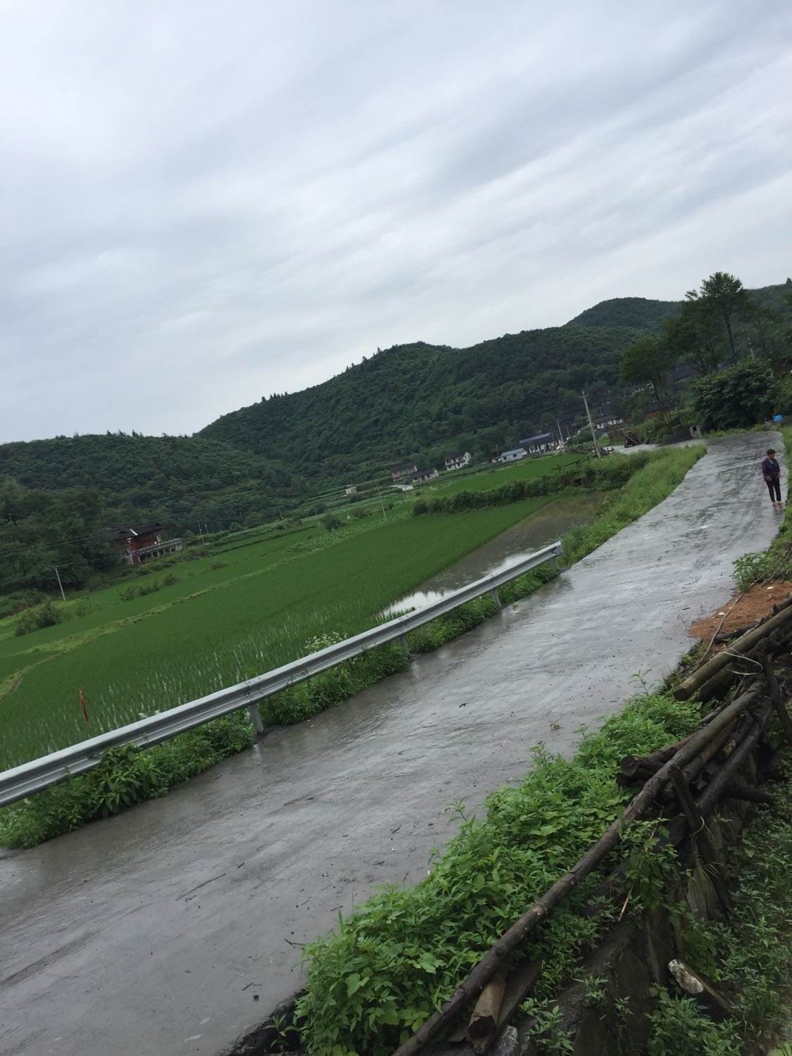 岗咔村最新天气预报