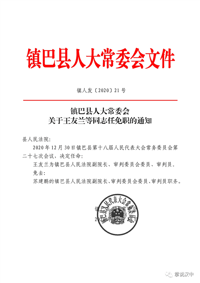 平乐村委会人事任命推动村级治理升级新篇章