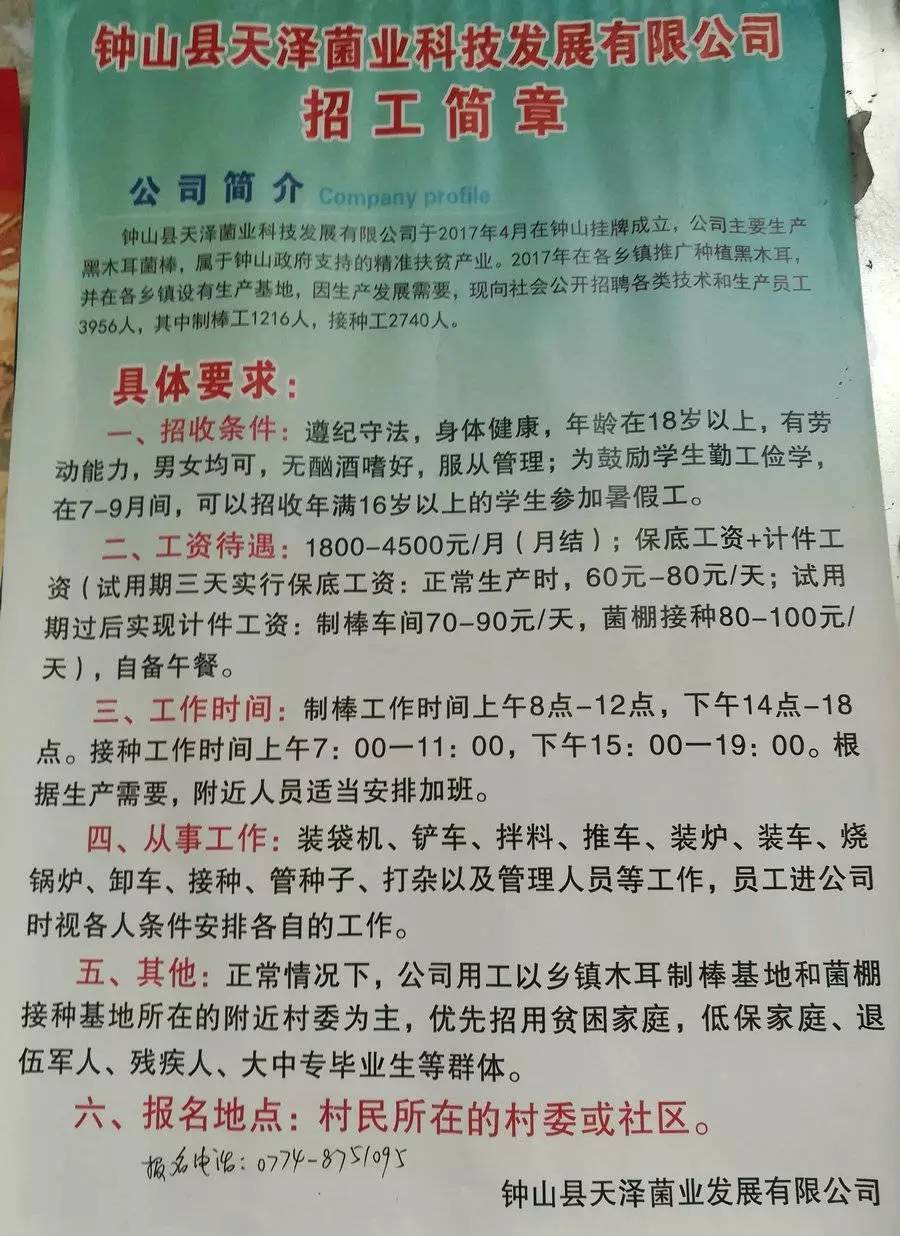 新山村最新招聘信息全面解析