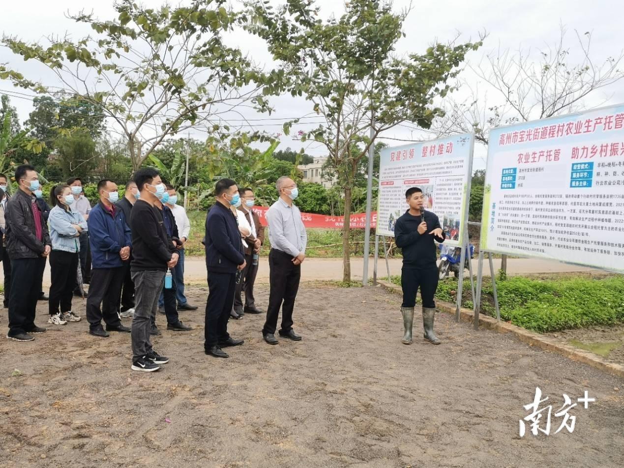 程村镇全新发展规划概览