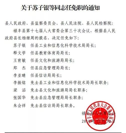 楚雄市审计局最新人事任命，重塑审计监督体系，推动地方经济健康发展