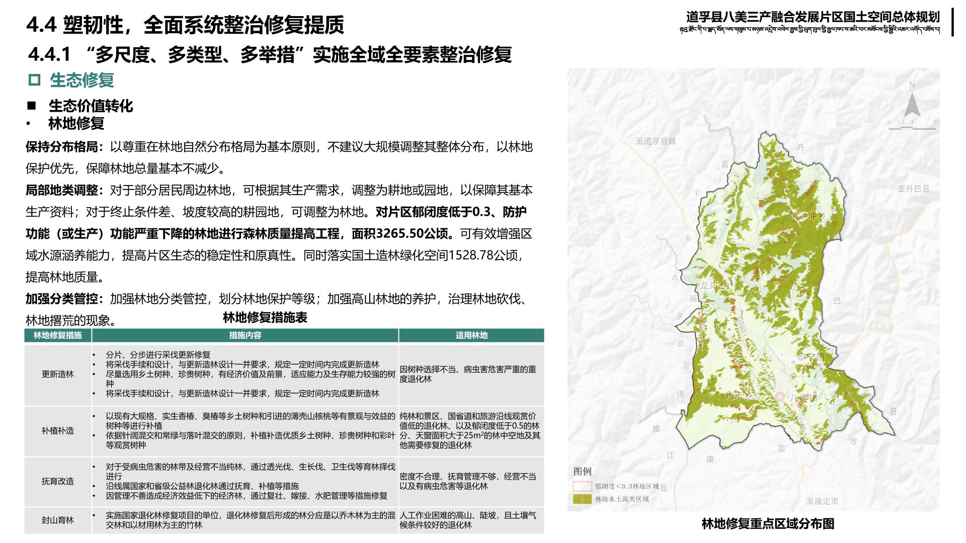 西双版纳傣族自治州市档案局最新发展规划概览