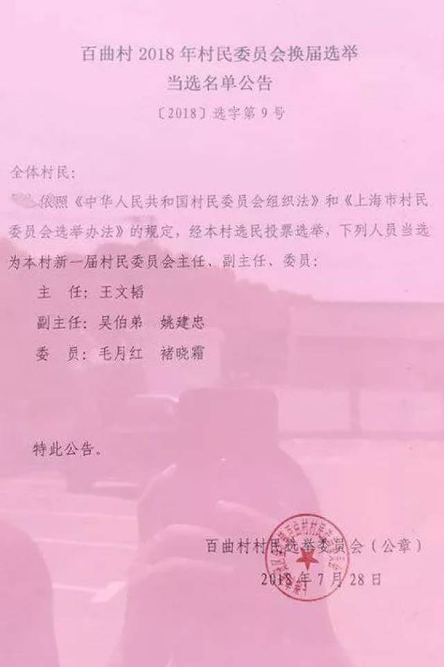 公议村人事任命最新动态