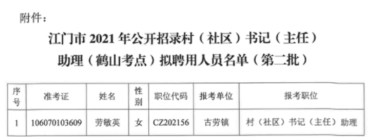 鹤山区人民政府办公室最新招聘概览