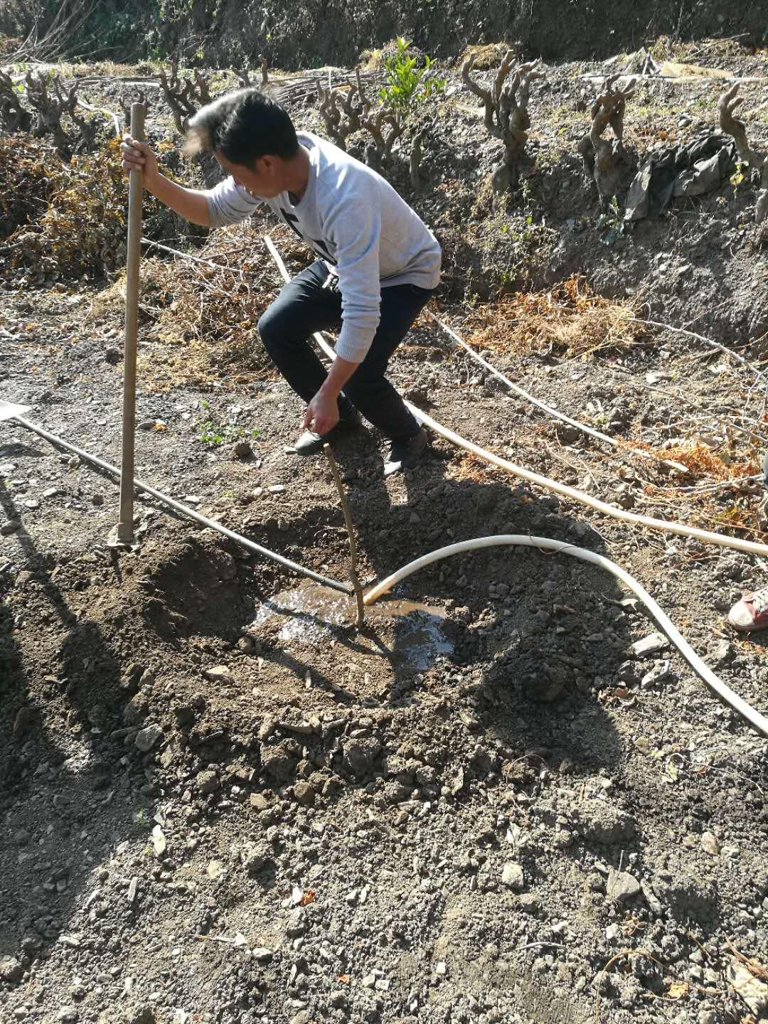 会东县市场监管局推动现代化项目，助力地方经济高质量发展新动向