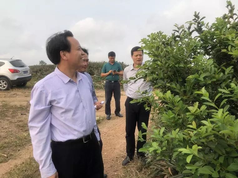 莫周兰村民委员会乡村振兴与社区发展探索项目启动