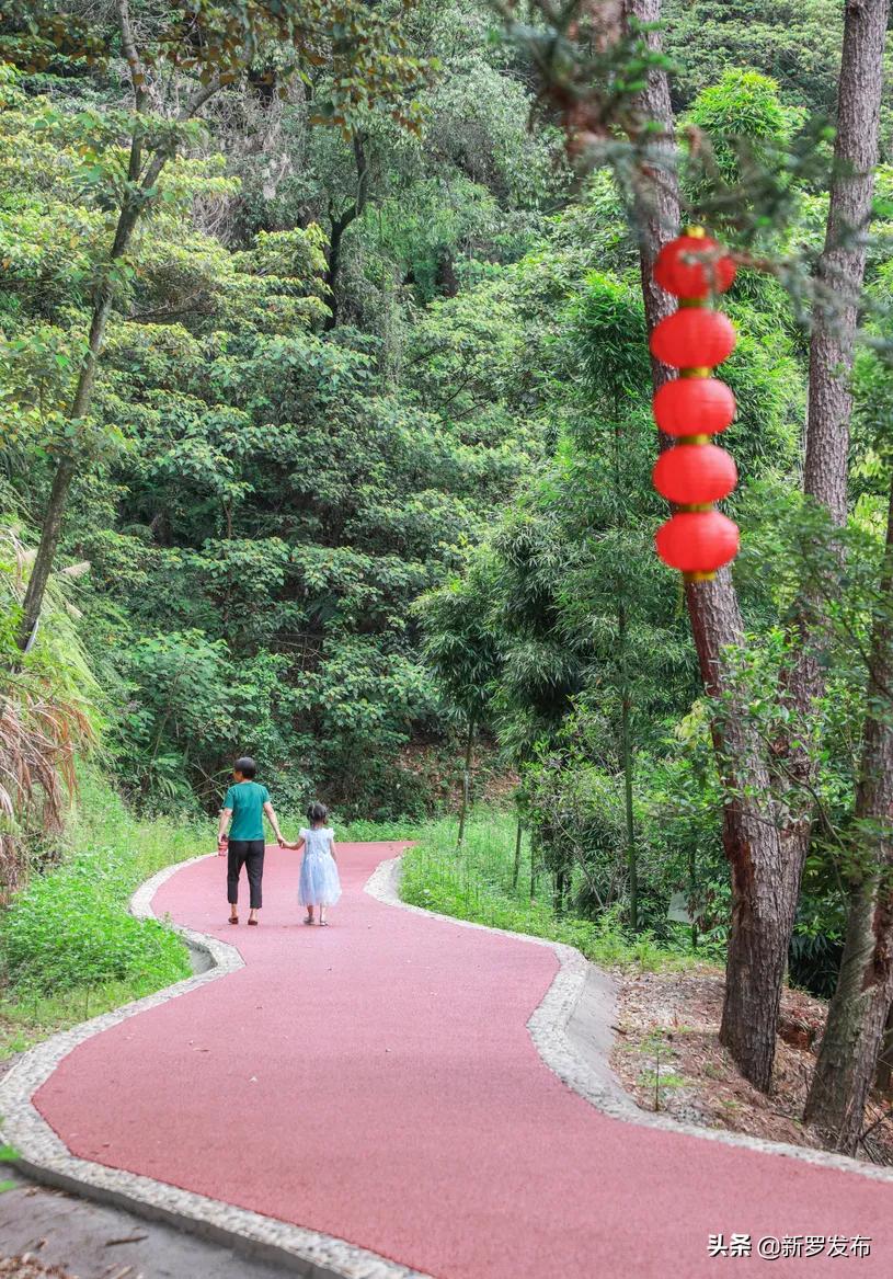 北城村委会发展规划概览，未来蓝图揭秘