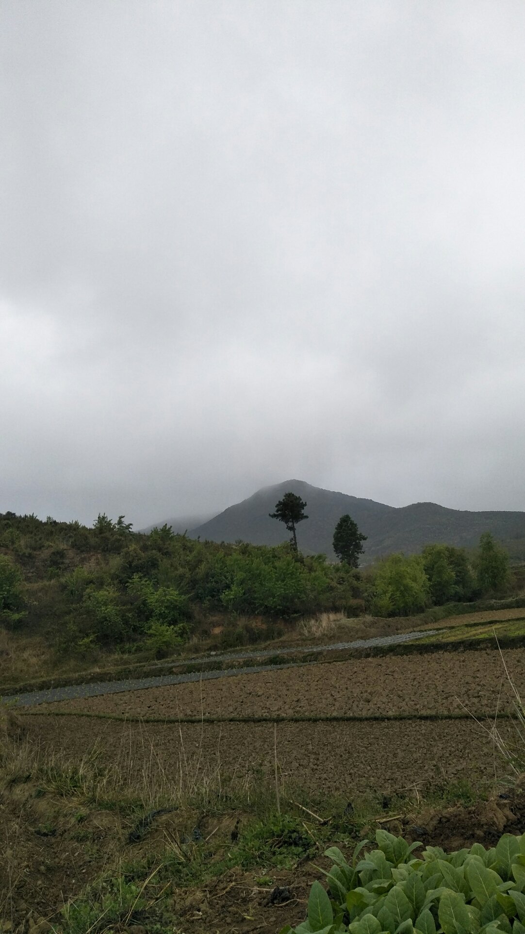 竹马乡天气预报更新通知