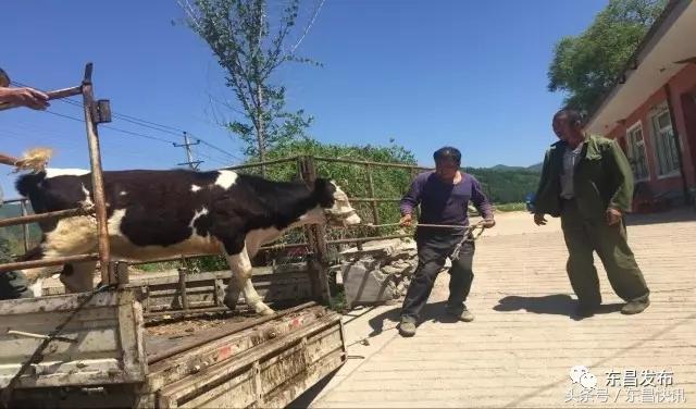 通化市扶贫开发领导小组办公室最新招聘概况概述