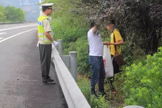 果树村委会道路改造升级，村民出行更加便捷，最新交通新闻概述