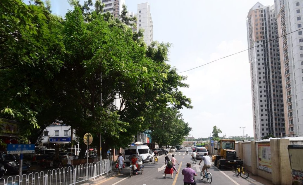 棠下街道天气预报最新详解